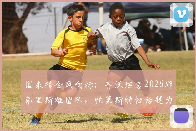国米转会风向标：齐沃坦言2026邓弗里斯难留队，帕莱斯特拉话题为时尚早，深度解析蓝黑军团边路策略